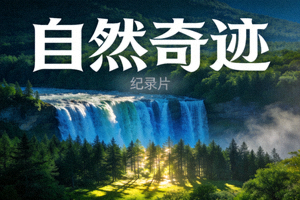 纪录片《自然奇迹》海报 - 壮丽的瀑布与森林景观